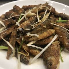 董永魚館張用戶圖片