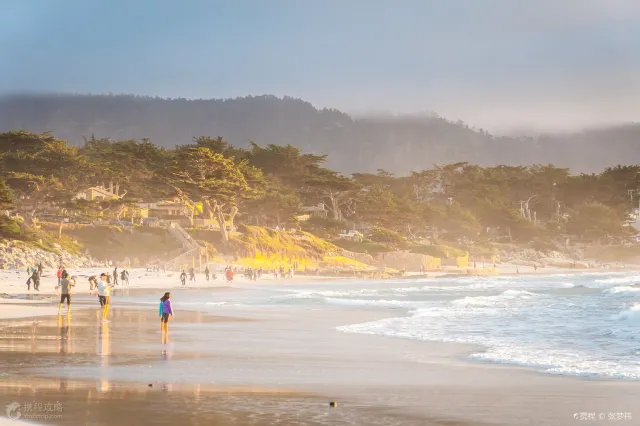 10 Awesome Domestic Coast Oct 2025