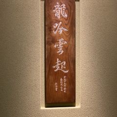 RyuGin User Photo