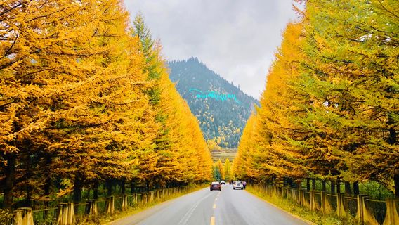 Maixiu National Forest Park