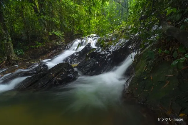 10 Best Things to Do With Kids in Kuala Lumpur