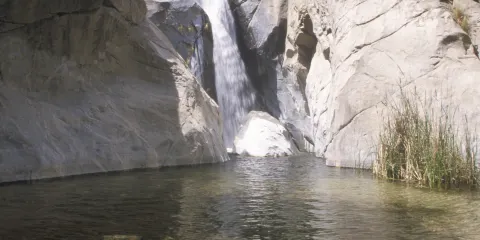 Tahquitz Canyon