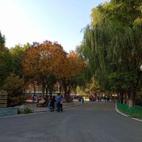 評論圖片 8