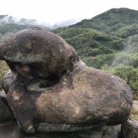 評論圖片 3