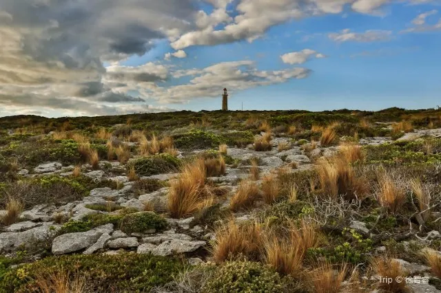 The Ultimate Guide to Adelaide Australia