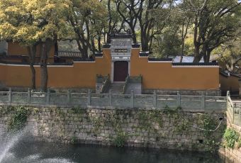 普陀山雷迪森莊園·蓮府用戶圖片