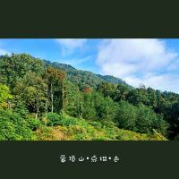 評論圖片 6
