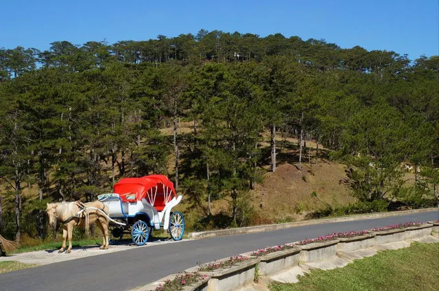 8 Things You Must Do to Play Around