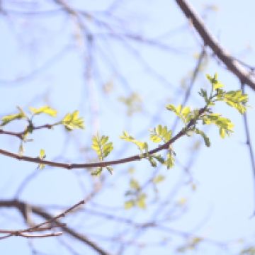 評論圖片 4
