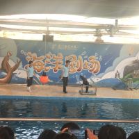 評論圖片 1
