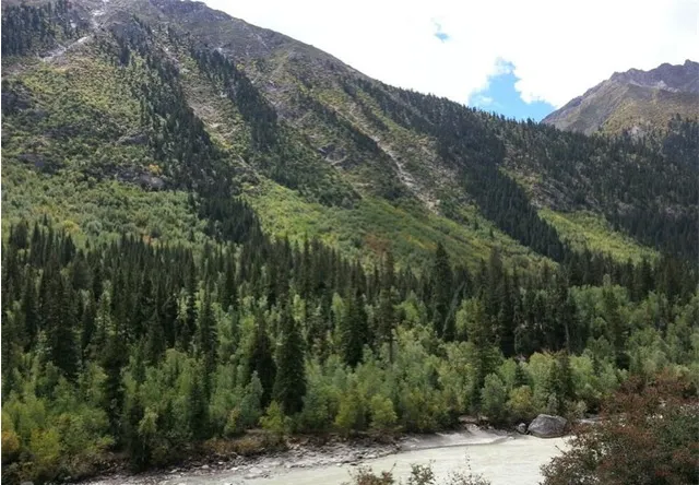 China’s 10 Most Beautiful Pristine Forests