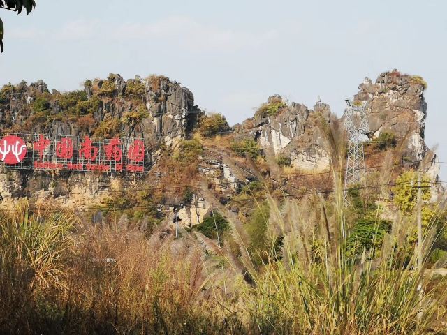 Wucai Tuanyuan Farmers Festival