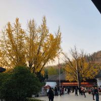 評論圖片 2