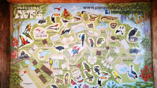 伊瓜苏鸟园位于伊瓜苏国家公园附近，这里汇集了了上百种各种鸟类