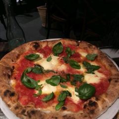 Gemelli Italian User Photo
