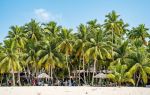 Dongjiao Coconut Plantations