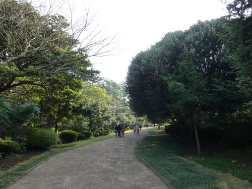 비자림