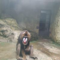 評論圖片 4