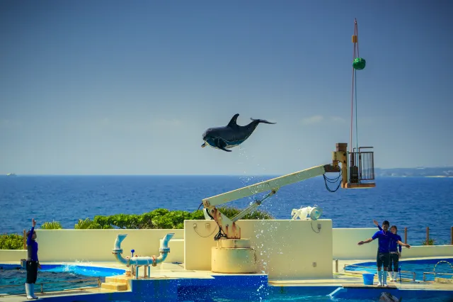 Top 10 Must See Spots in Okinawa