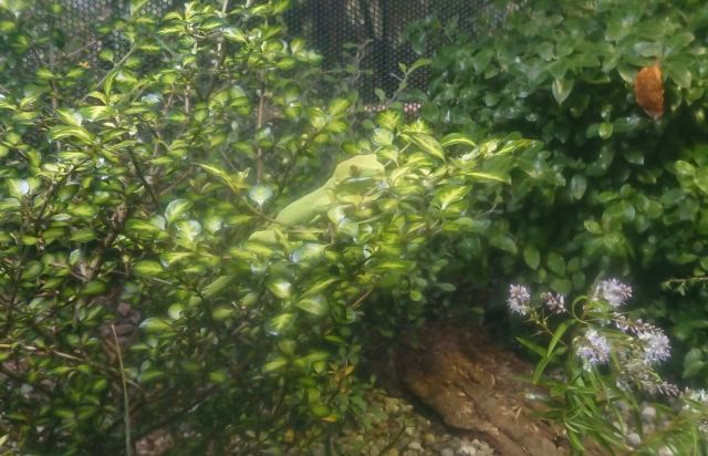 彩虹泉自然公園