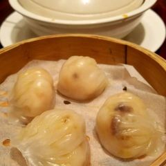 LI LI User Photo