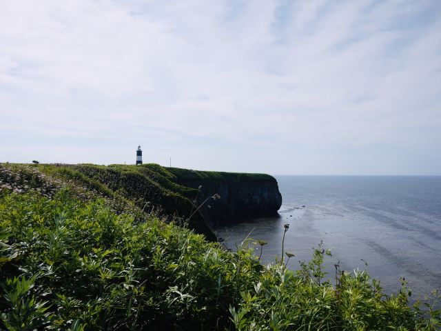 能取岬