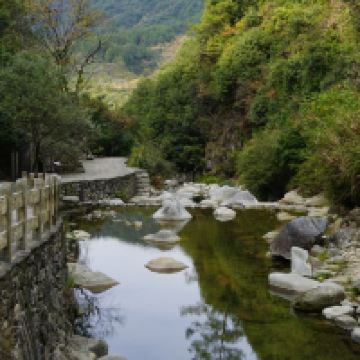 評論圖片 8