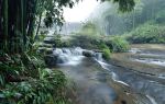 Shunan Zhuhai (“South Sichuan Bamboo Sea”) National Park