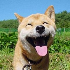 八楼猪蹄(拜城店) User Photo