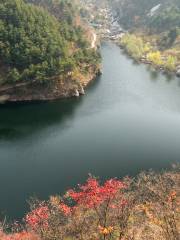 Wolong Valley