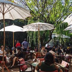 Fern Forest Café 여행 사진