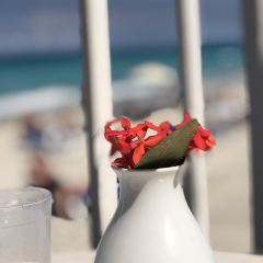 Porto Habana User Photo