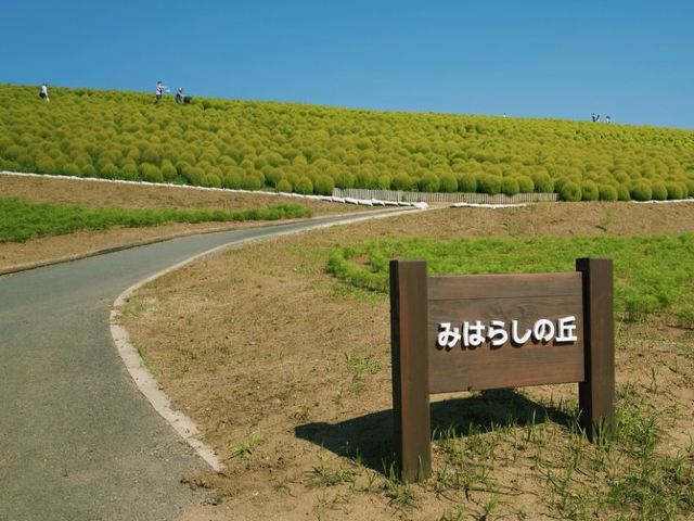 國營常陸海濱公園