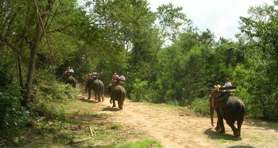 Pattaya Elephant Village