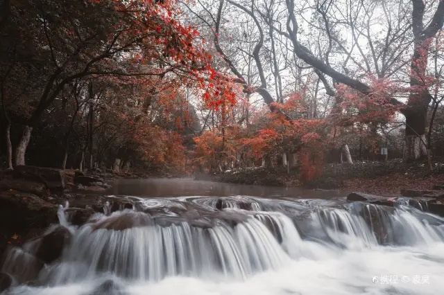 Maple Leaf Viewing in Hangzhou