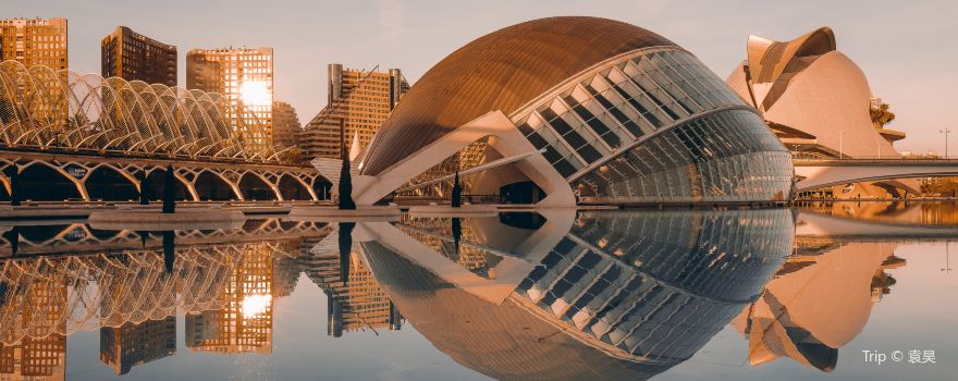Cité des arts et des sciences