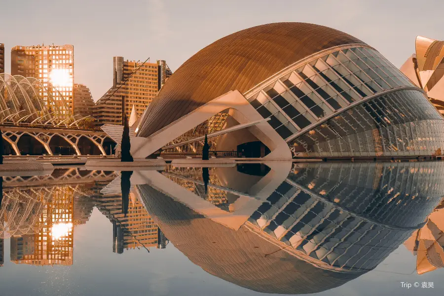 City of Arts and Sciences