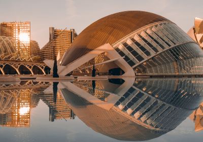 Cité des arts et des sciences