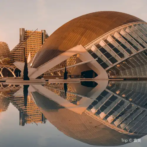 Popular Night Attractions in Valencia Province