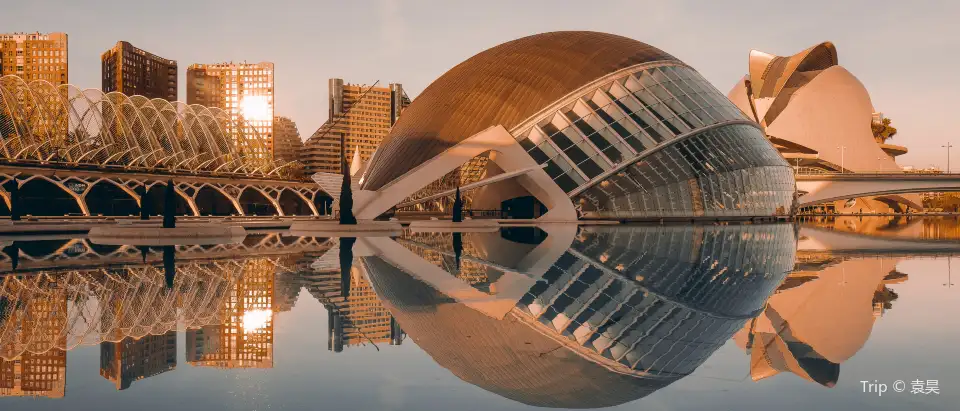 5_City of Arts and Sciences
