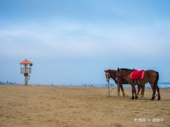 龍海天