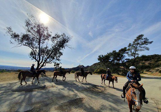 Sunset Ranch Hollywood