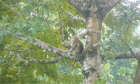踏繽野生動物保護區