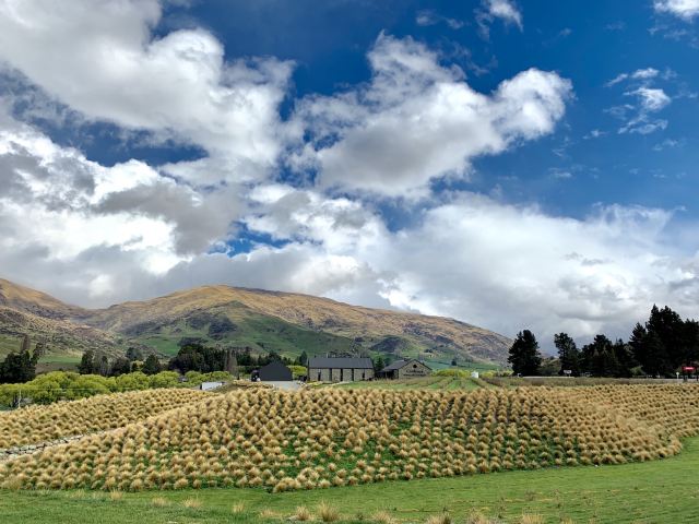 Cardrona Bra Fence