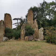 安雲·悅南山度假酒店中餐廳張用戶圖片