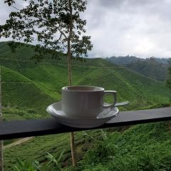 Jim Thompson's Tea Room at Bala's User Photo