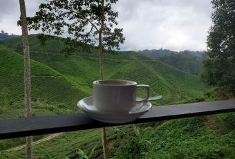 Jim Thompson's Tea Room at Bala's User Photo