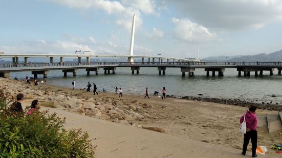 深圳湾公园一观桥公园位于深圳南山区望海路附近,就在深圳湾公路