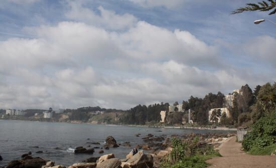 Caleta Horcón