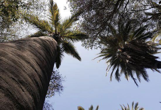 Parque Nacional La Campana